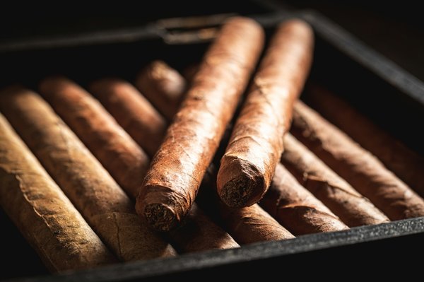 Cave à cigares électriques : préservez la qualité et la saveur des cigares